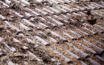 Bathpool roof cleaning companies